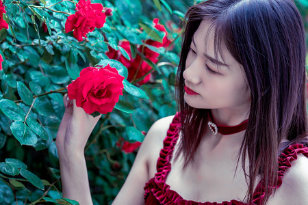 海峡两岸职业教育论坛在福州举办